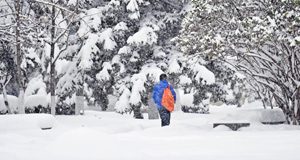 辽宁多地遭遇暴雪天气