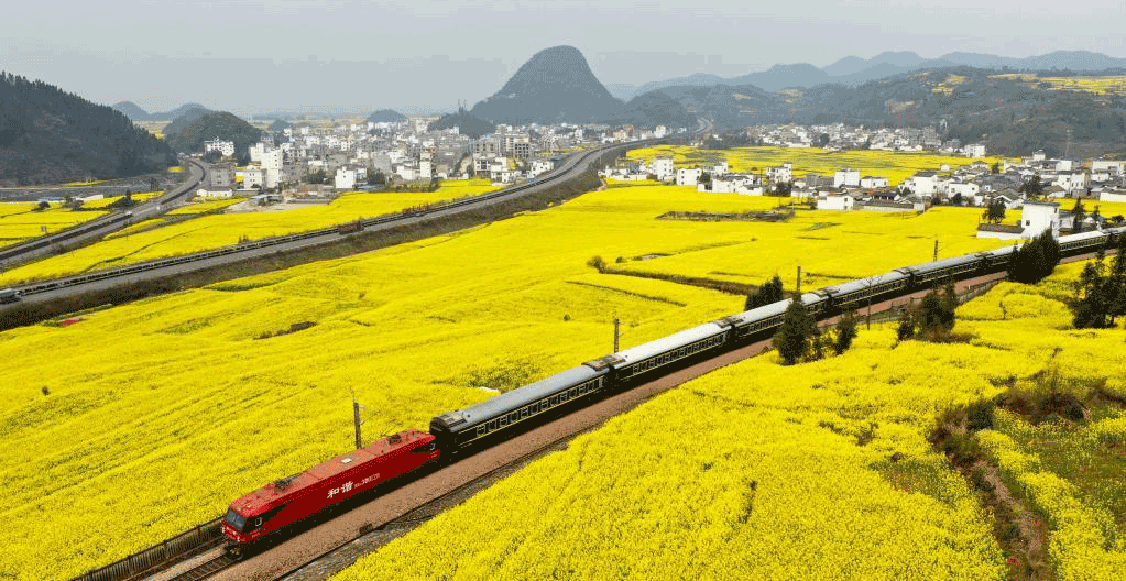 花香伴列车