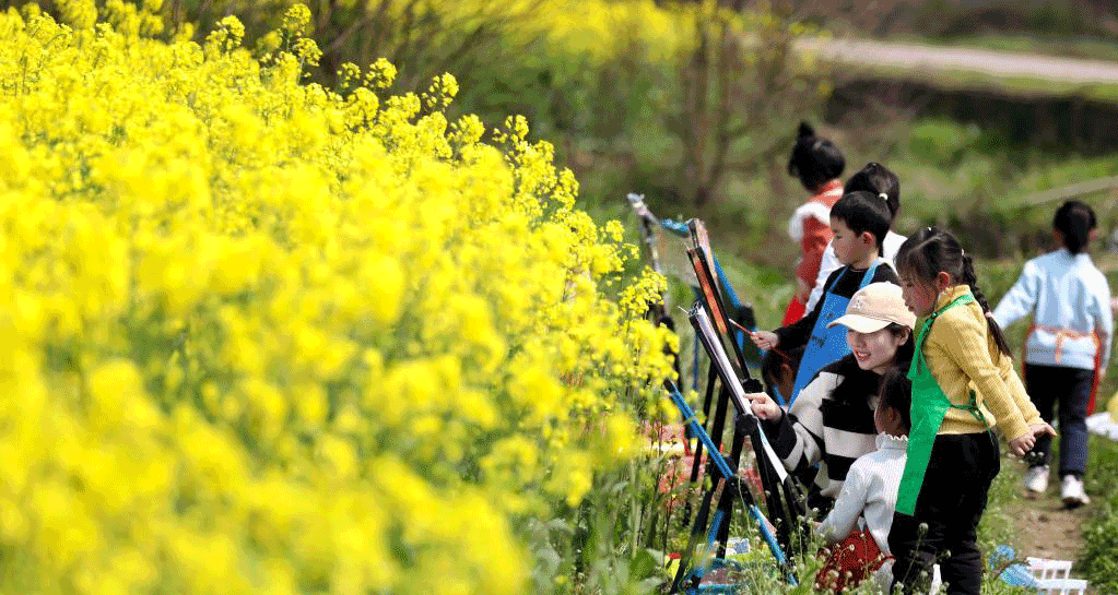 湖南资兴：油菜花田“画春天”