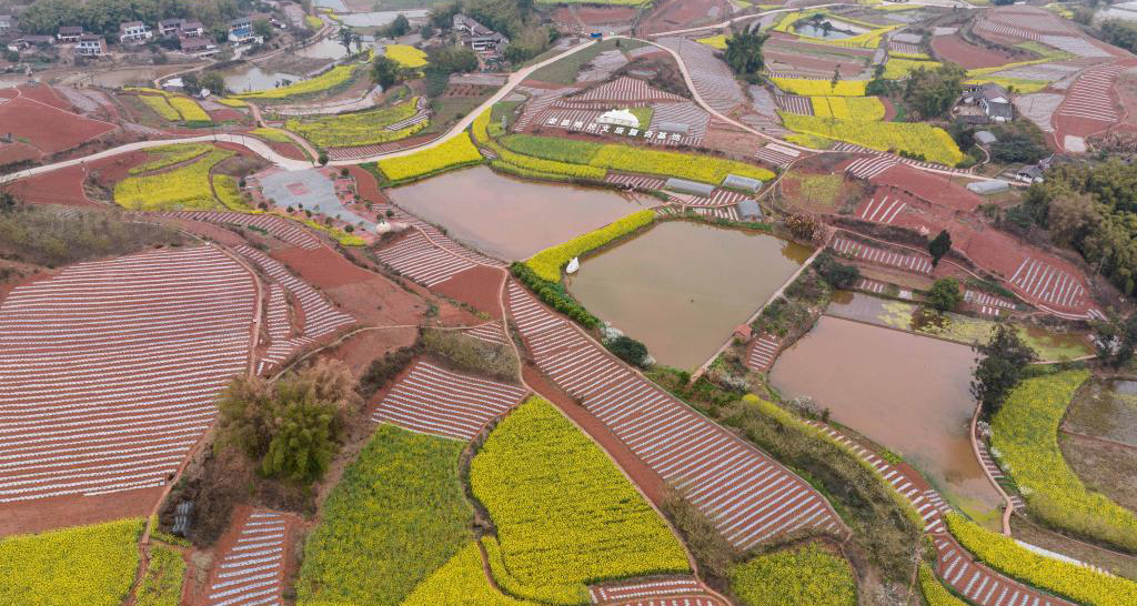 田园春景