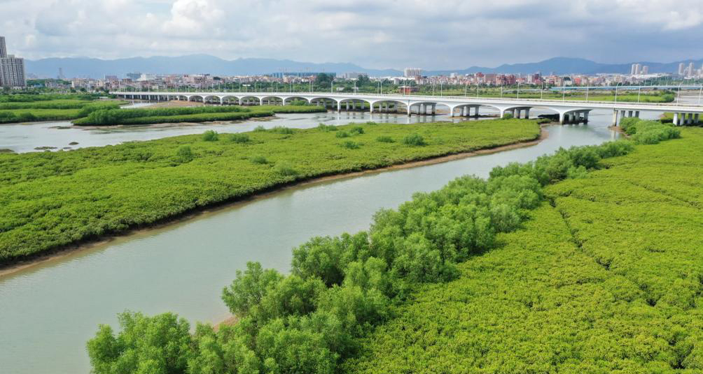 福建厦门：打造良好海洋生态环境