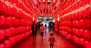 万盏花灯靓凤城 河东大地年味浓