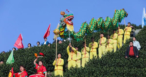 茶乡“喊山祈茶” 庆祝春茶开摘