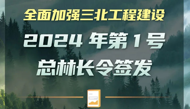 全面加强三北工程建设 2024第1号总林长令签发