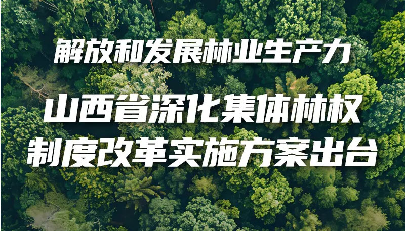 【图解】山西省深化集体林权制度改革实施方案出台