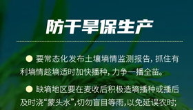 【海报】科学应对旱涝！山西印发预案夺取粮食丰收