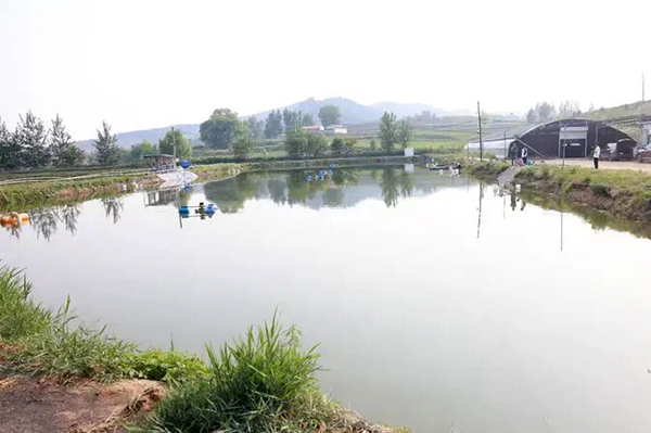 农民“试水”养泥鳅迈上致富路