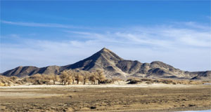 内蒙古阿拉善：沙海中的绿色家园